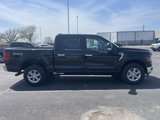 New 2025 Ford F150 XLT image 4