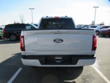 New 2025 Ford F150 XLT w/ Equipment Group 302A MID image 5