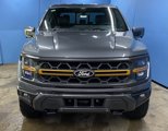New 2025 Ford F150 Tremor image 3