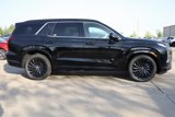New 2025 Hyundai Palisade Calligraphy image 3