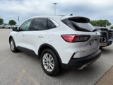 Used 2020 Ford Escape SE image 3
