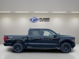 New 2025 Ford F150 STX image 3