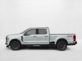 New 2025 Ford F250 Platinum image 3