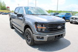 Used 2024 Ford F150 XLT w/ Equipment Group 302A MID image 4