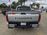 New 2025 Toyota Tundra SR5 w/ TRD Rally Package image 4