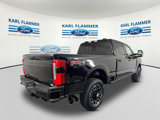 New 2025 Ford F250 Platinum image 3