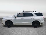 New 2025 Hyundai Palisade Calligraphy image 6