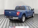New 2025 Ford F150 XLT image 4