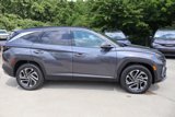 New 2025 Hyundai Tucson Limited image 4