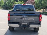 Certified 2023 Ford F150 XLT w/ Equipment Group 302A High image 5