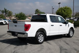 Used 2023 Ford F150 XLT image 4