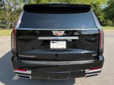 Used 2025 Cadillac Escalade ESV Premium Luxury image 5