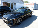 Used 2019 Ford Mustang Premium w/ Equipment Group 201A image 2
