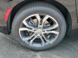New 2025 Chrysler Pacifica Pinnacle image 5