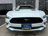 Certified 2023 Ford Mustang Coupe w/ Equipment Group 101A image 4
