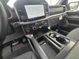 New 2025 Ford F150 XLT w/ Equipment Group 302A MID image 5