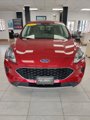 Used 2022 Ford Escape SE w/ Cold Weather Package image 2