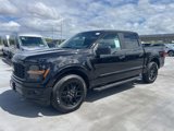 New 2025 Ford F150 STX w/ STX Black Appearance Package image 3