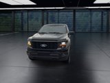 New 2025 Ford F150 STX w/ Equipment Group 200A image 3