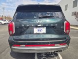 New 2025 Hyundai Palisade Calligraphy image 5