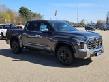 New 2025 Toyota Tundra 1794 Edition image 3