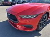 Used 2024 Ford Mustang Premium image 3