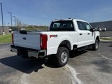 New 2025 Ford F250 XL image 3