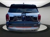 New 2025 Hyundai Palisade Calligraphy image 5