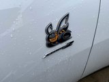 New 2025 Dodge Charger Daytona Scat Pack w/ Track Pack image 4
