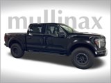 New 2025 Ford F150 Raptor image 2