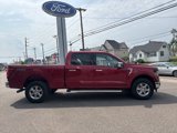 New 2025 Ford F150 XLT w/ Equipment Group 302A MID image 5