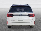 New 2026 Honda Odyssey EX-L image 3