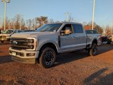 New 2025 Ford F250 Platinum image 5