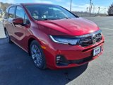 New 2025 Honda Odyssey Touring image 3