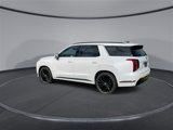 New 2025 Hyundai Palisade Calligraphy image 6