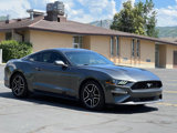 Used 2019 Ford Mustang Premium image 3