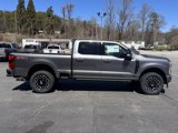 New 2025 Ford F250 Platinum image 5