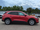 Used 2020 Ford Escape SE image 4
