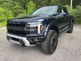 New 2025 Ford F150 Raptor image 3
