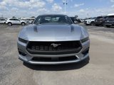 New 2025 Ford Mustang Premium image 3