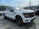 New 2025 Ford F150 Tremor image 6