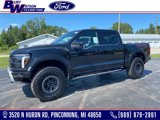 New 2025 Ford F150 Raptor image 1