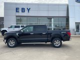 New 2025 Ford F150 XLT w/ Equipment Group 302A MID image 2