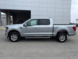 New 2025 Ford F150 XLT image 2