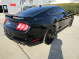 Used 2022 Ford Mustang GT image 3