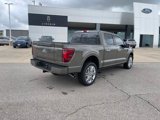 New 2025 Ford F150 Platinum w/ Equipment Group 703A Plus image 5