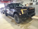 Used 2024 Ford F150 Raptor R image 2