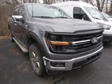 New 2025 Ford F150 XLT w/ Equipment Group 302A MID image 3