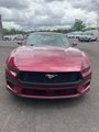 New 2025 Ford Mustang Premium image 3