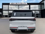 New 2025 INFINITI QX80 Luxe w/ Cargo Package image 5